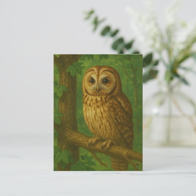 Carte Postale L'observateur silencieux de la forêt (Debout devant)
