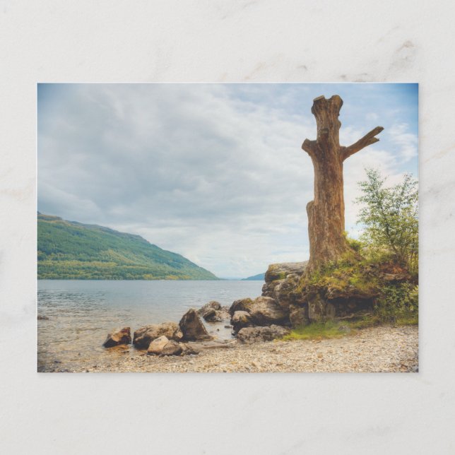 Carte Postale Loch Lomond, Écosse (Devant)