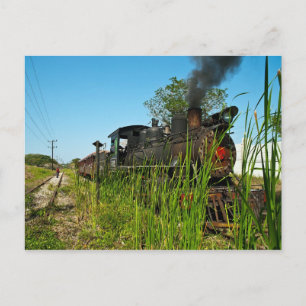 Carte Postale Locomotive à vapeur en herbe haute