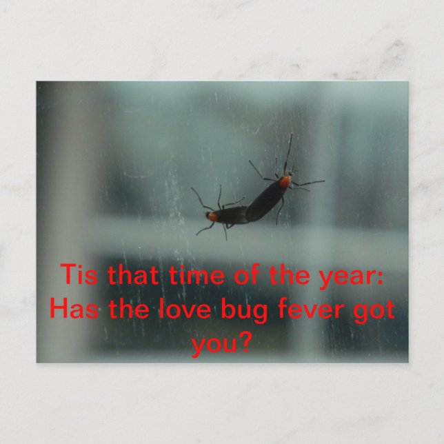 Carte postale Log Bug Fever (Devant)