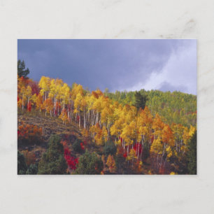 Carte Postale Logan Canyon dans l'Utah en automne avec le passag