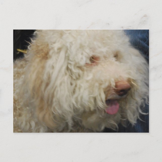 Carte postale Logato Romagnolo (Devant)