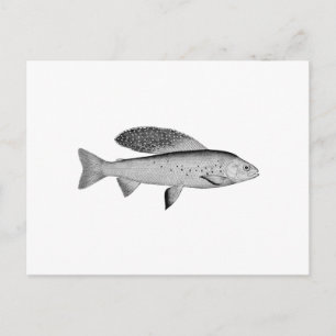 Carte Postale Logo Arctic Grayling (art linéaire)