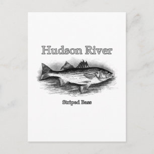 Carte Postale Logo de basse rayée Vintage de la rivière Hudson