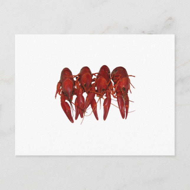 Carte Postale Logo de l'écrevisse (sans titre) (Devant)