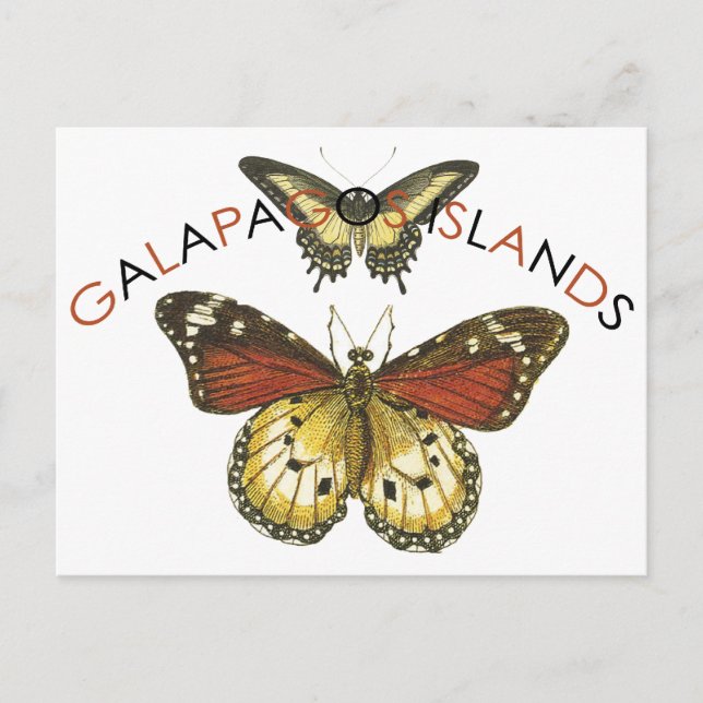 Carte Postale Logo de l'emblème des îles Galapago (Devant)
