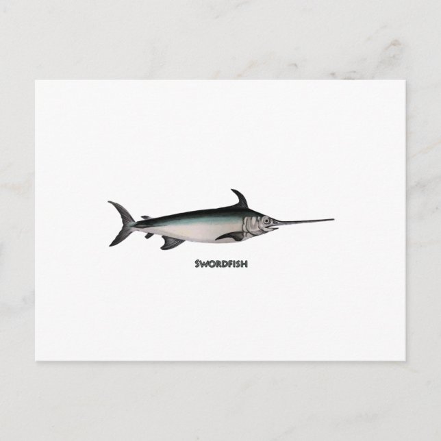 Carte Postale Logo d'espadon (Devant)