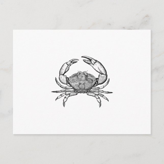 Carte Postale Logo du crabe de pierre (art linéaire) (Devant)