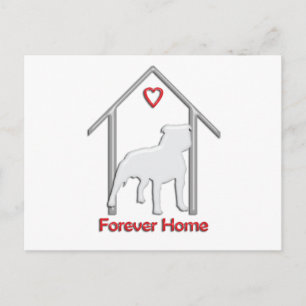 Carte Postale Logo Pitbull blanc pour toujours