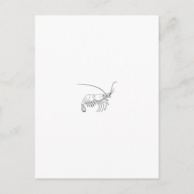 Carte Postale Logo Prawn (Devant)