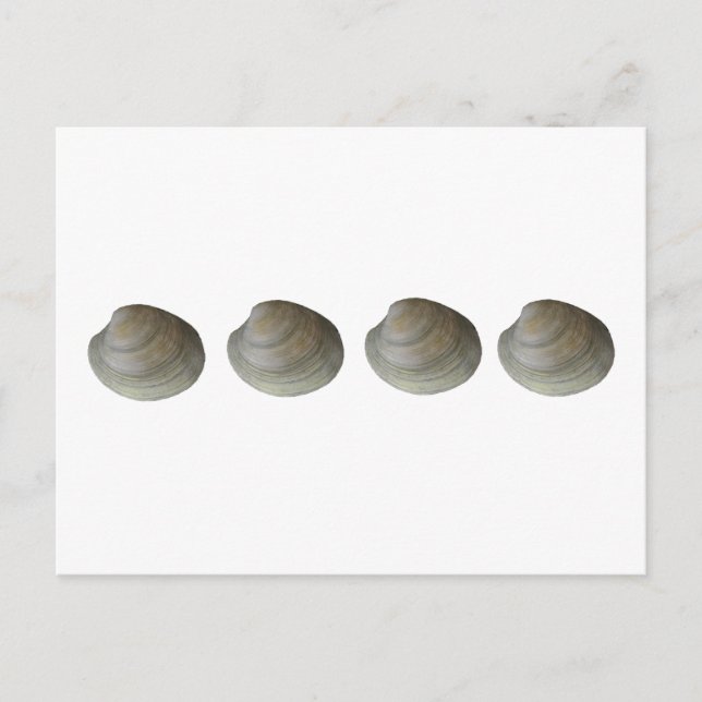 Carte Postale Logo Quahog Clams (Devant)