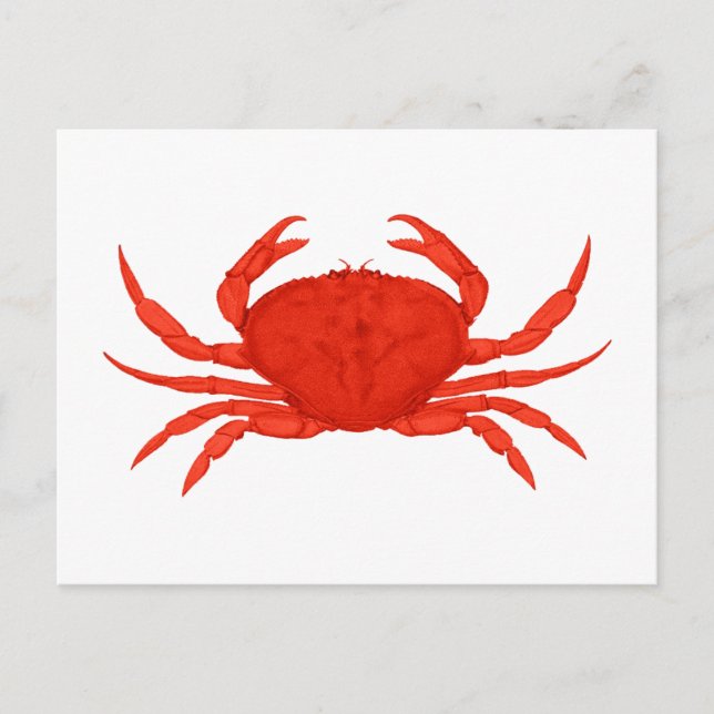 Carte Postale Logo Red Dungeness Crab (Devant)