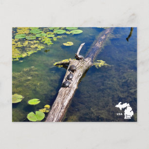 Carte Postale Logo vertical du journal des tortues du Metropark 