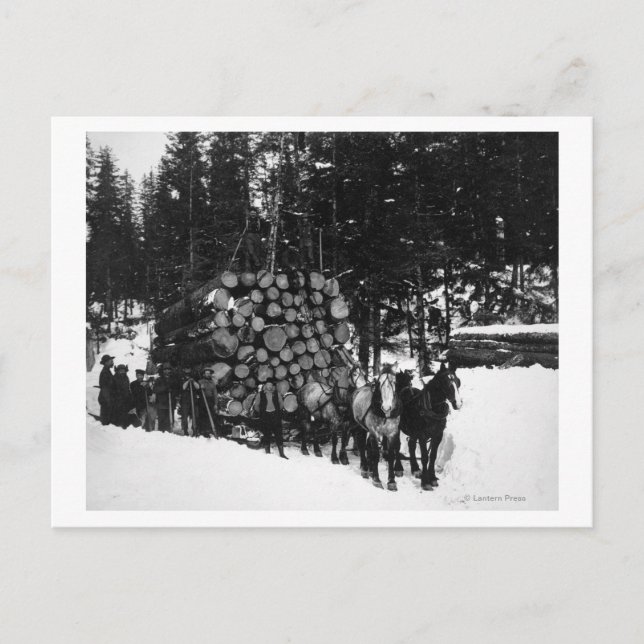 Carte Postale Logs transportés sur un traîneau par une équipe de (Devant)