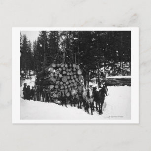 Carte Postale Logs transportés sur un traîneau par une équipe de