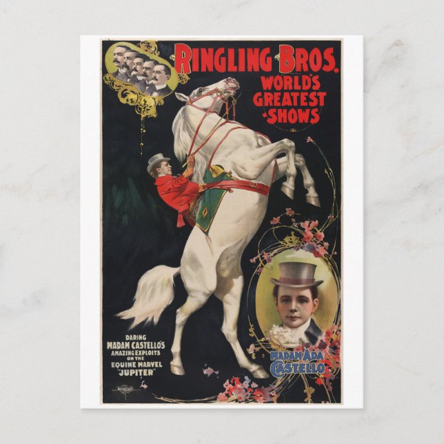 Carte Postale Loi sur les animaux de cirque vintage (Devant)