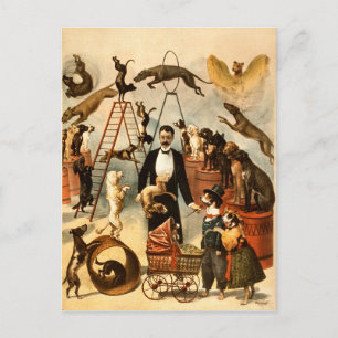 Carte Postale Loi sur les chiens de cirque vintages entraînés Ch