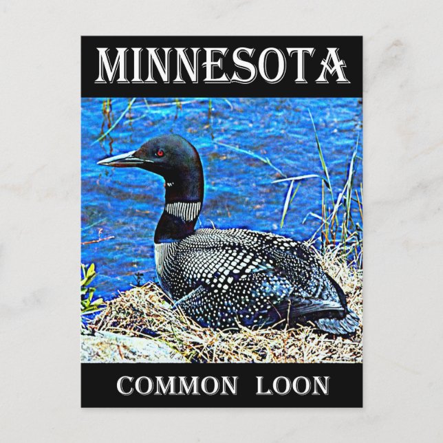 Carte Postale Loin commun du Minnesota (Devant)