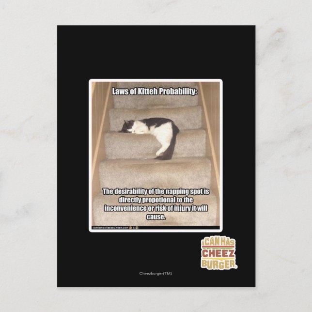 Carte Postale Lois de la probabilité de Kitteh (Devant)