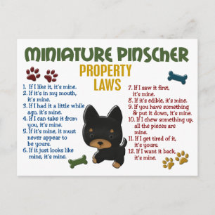 Carte Postale Lois de propriété Miniature Pinscher 4