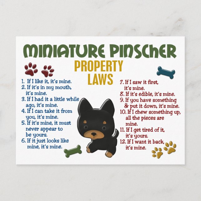Carte Postale Lois de propriété Miniature Pinscher 4 (Devant)