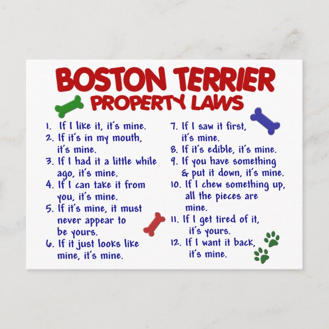 Carte Postale Lois sur la propriété des Boston Terrier 2 (Devant)