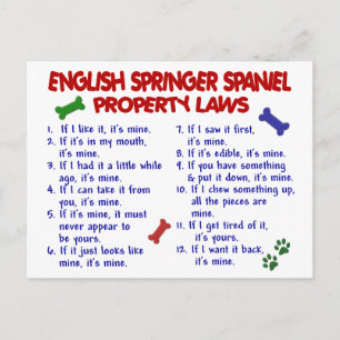 Carte Postale Lois sur les Propriétés des SPRINGER SPANIEL ANGLA