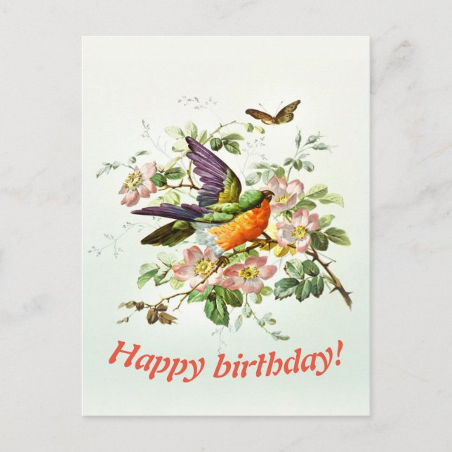 Carte Postale L'oiseau et le papillon, Anniversaire (Devant)