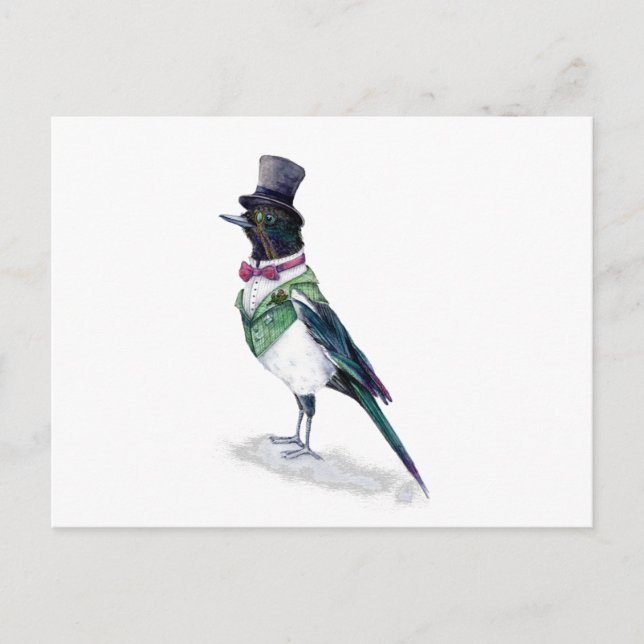 Carte Postale L'oiseau victorien Magpie (Devant)
