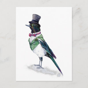 Carte Postale L'oiseau victorien Magpie