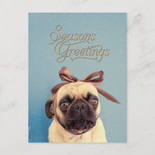 Carte Postale Lola with bow