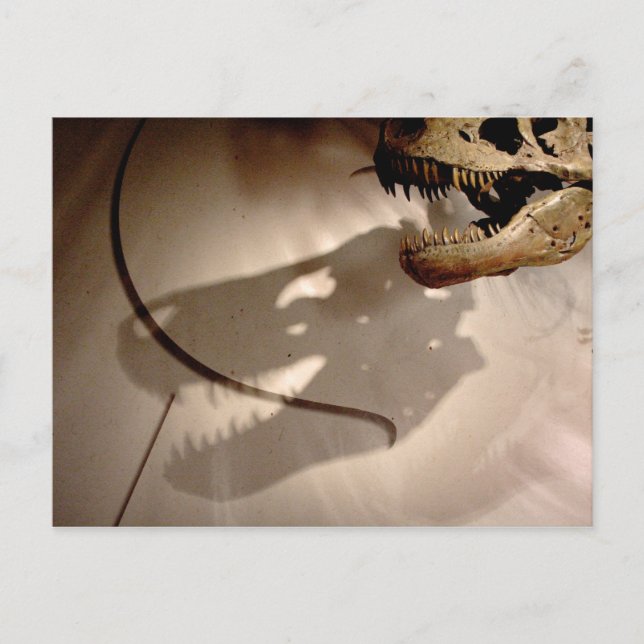 Carte Postale L'ombre de Sue (Devant)