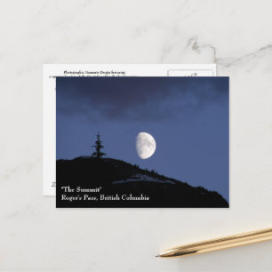 Carte postale Lonely Companion