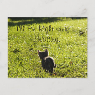 Carte postale Lonely Kitten "Missing You"