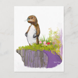 Carte Postale Lonely Otter