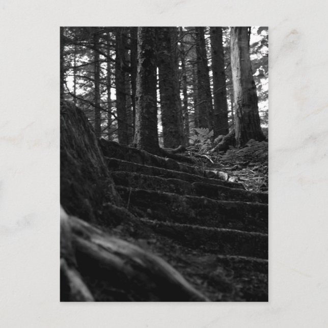 Carte Postale Lonely Stair Way (Devant)