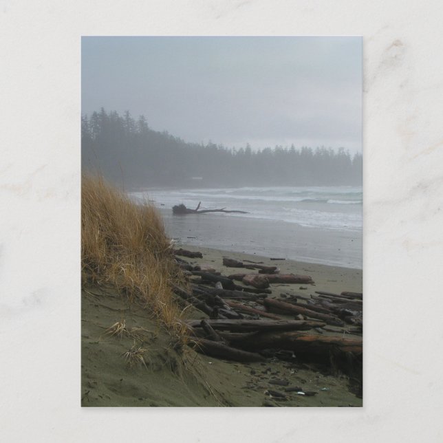 Carte Postale Long Beach, Tofino, île de Vancouver (Devant)