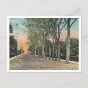 Carte Postale Long Branch NJ Cedar Ave 1911 Style Vintage