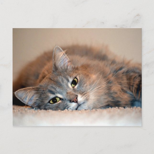 Carte Postale Long chapeau bleu russe par Shirley Taylor (Devant)