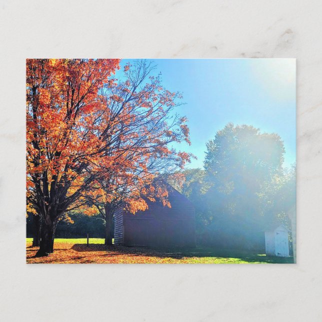 Carte Postale Long Island Autumn Fall Farm Grange New York (Devant)