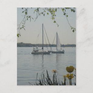 Carte Postale Long Island Sound