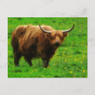 Carte Postale Longue Corne à long rayon avec longues cornes