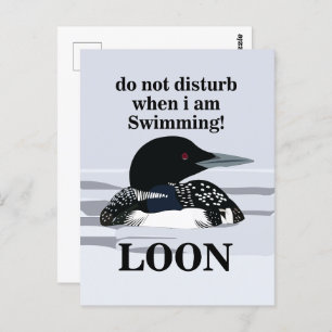 Carte Postale Loon Common Loon Bird Water Lake Funny