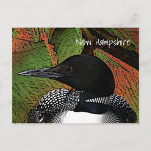 Carte Postale Loon commun du New Hampshire