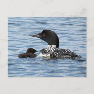 Carte Postale Loon et bébé