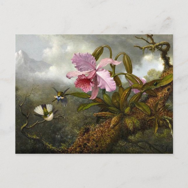 Carte Postale L'orchidée de Cattleya, deux colibris et un scarab (Devant)