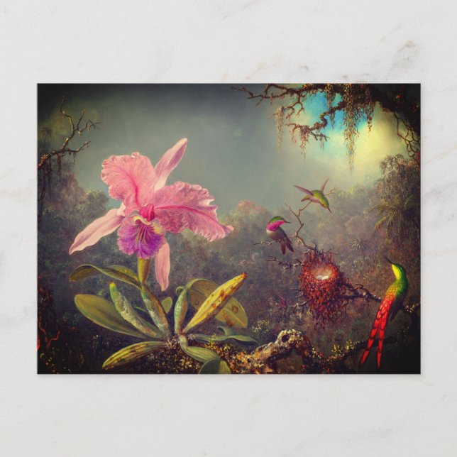 Carte Postale L'orchidée de Cattleya et trois colibris Heade (Devant)