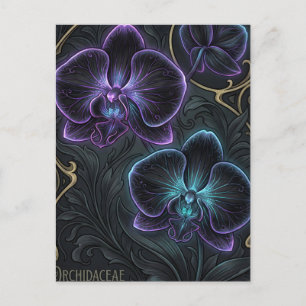 Carte Postale L'orchidée noire fleurit avec du violet biolumines