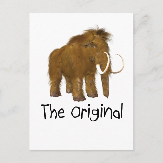 Carte Postale "L'original" (Devant)