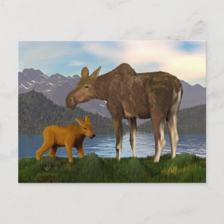 Carte Postale L'orignal dans le pré